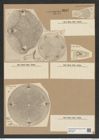 Aulacodiscus lollittianus Norm. (de-Toni-Nr.: Genus 182, Species 4563) Zeichnungen Sammlung Grunow Nr. 8183 (NHMW-BOT-W0377559)